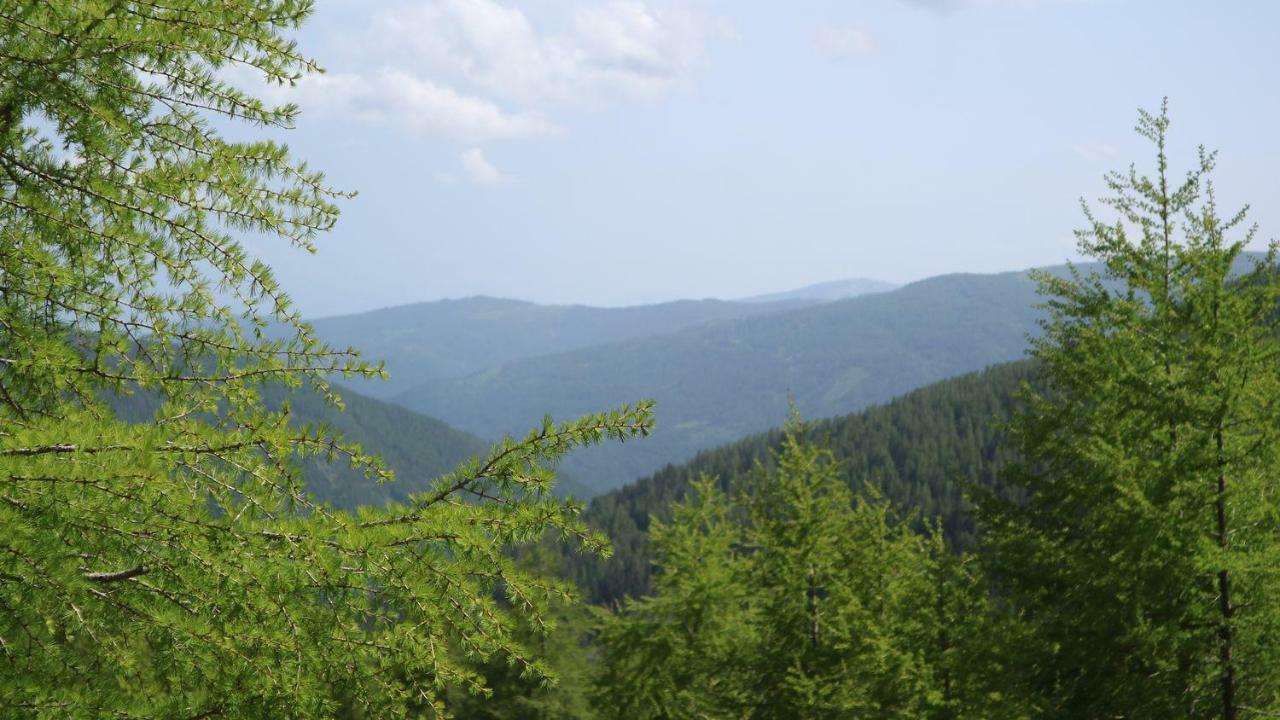 Вілла Almhaus Heidi Nockberge Patergassen Екстер'єр фото